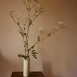 Casa Albaredo, Aldea Rural, Boutique Hotel, Retreat, * O Cebrero
