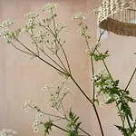 Casa Albaredo, Aldea Rural, Boutique Hotel, Retreat, * O Cebrero