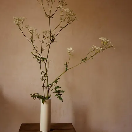 Casa Albaredo, Aldea Rural, Boutique Hotel, Retreat, * O Cebrero