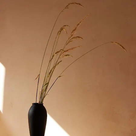 Casa Albaredo, Aldea Rural, Boutique Hotel, Retreat, O Cebrero