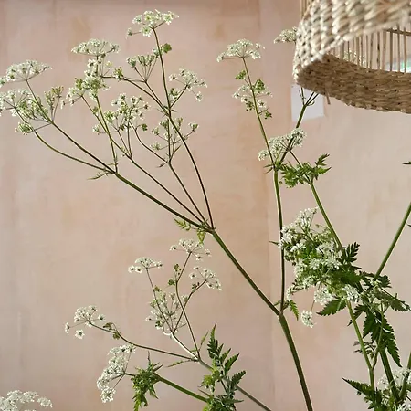 Casa Albaredo, Aldea Rural, Boutique Hotel, Retreat, * O Cebrero